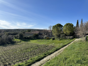 domaine de cousignac